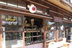 Cửa hàng lưu niệm Gegege no Kitaro khiến du khách chú ý bởi những bóng đèn cầu mắt.