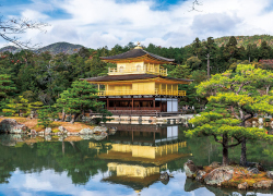 tour Kyoto và Nara 1 ngày