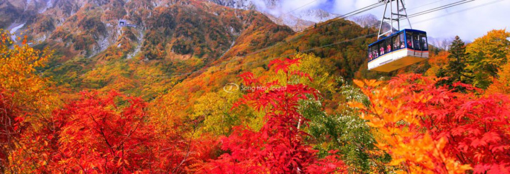 5 địa điểm ngắm lá đỏ ở Hokkaido không nên bỏ lỡ