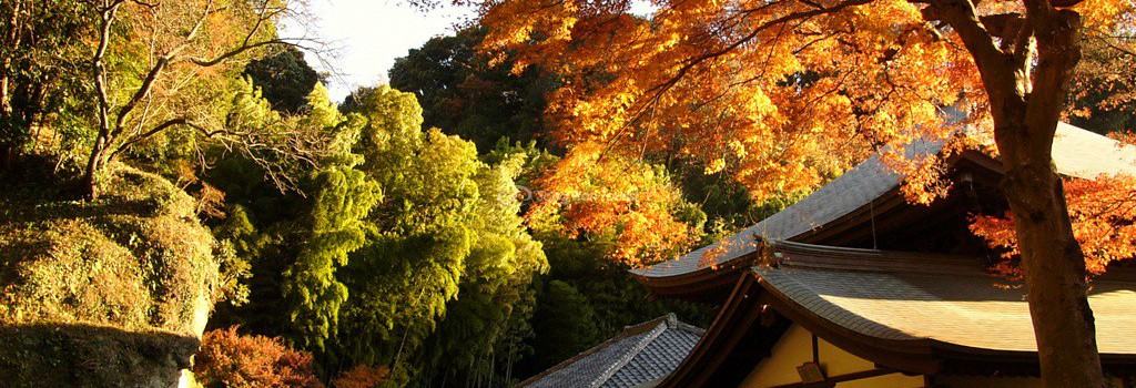 Top 5 Địa Điểm Độc Đáo Ít Người Biết Ở Kamakura