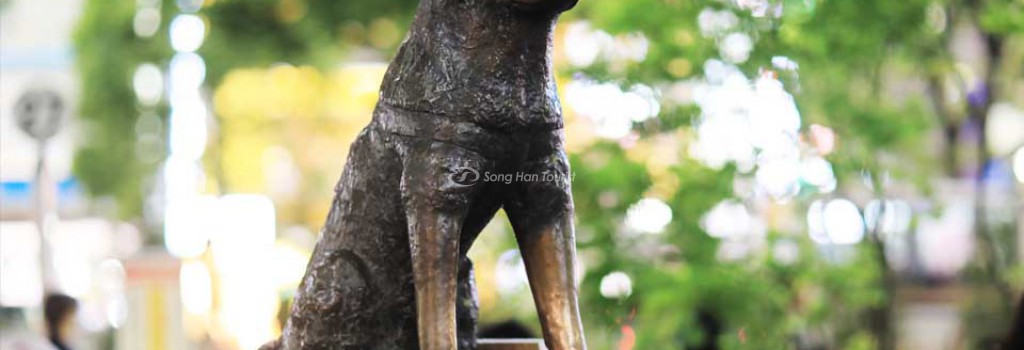 10 điều có thể bạn chưa biết về chú chó trung thành Hachiko