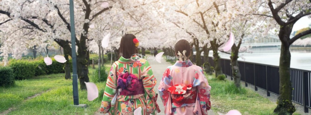 Top 5 địa điểm du lịch Nhật Bản mùa hoa anh đào năm 2020