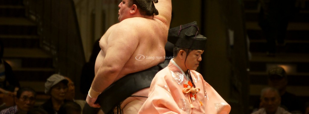 Top 7 Sự Thật Thú Vị Về Sumo Nhật Bản