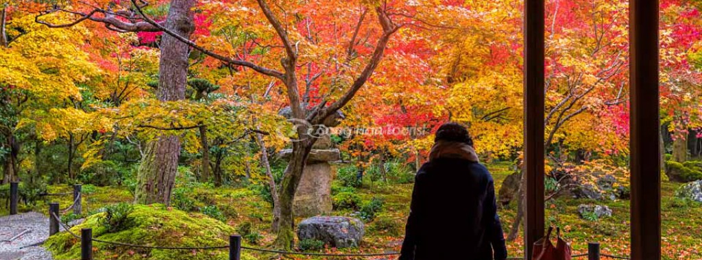 3 nơi tuyệt vời cho mùa thu Kansai