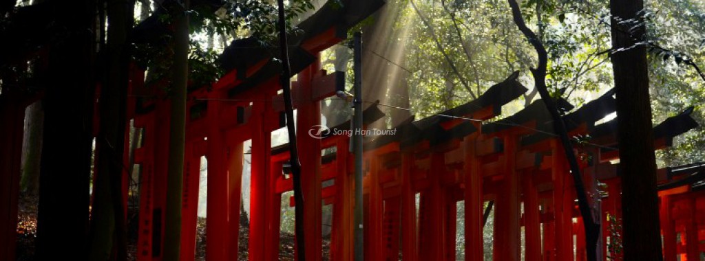 Senbon Torii đỏ rực ở đền Fushimi Inari