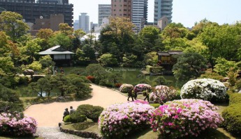 Vườn Sorakuen xinh đẹp
