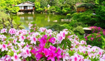Vườn Sorakuen Kobe - Tuyệt sắc Nhật Bản