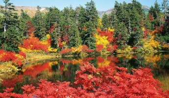 Ngắm lá đỏ ở núi Kurodake