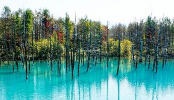 Hồ nước xanh Biei