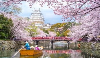 Đến và khám phá Osaka mùa Hoa Anh Đào