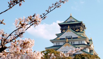 7 lý do bạn nên đến Nhật Bản mùa hoa anh đào