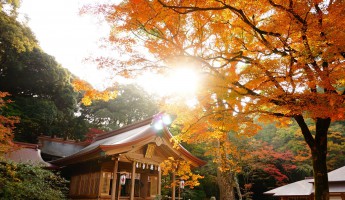 Top 5 địa điểm ngắm lá đỏ ở Nhật Bản có thể bạn chưa biết 
