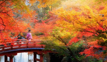 Tháng 9 - mùa thu Nhật Bản có gì?