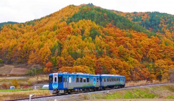 “Check-in” 5 địa điểm cực hấp dẫn khi du lịch Niigata