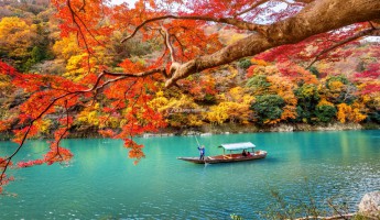 Momiji - Sự diệu kỳ của mùa thu Nhật Bản