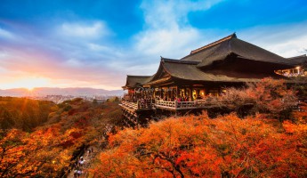 5 địa điểm ngắm lá đỏ tuyệt đẹp khi du lịch Nhật mùa thu!