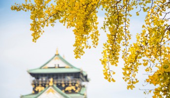 Osaka mùa thu - 3 điểm ngắm lá đỏ đẹp nhất năm 2019