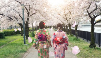 Top 5 địa điểm du lịch Nhật Bản mùa hoa anh đào năm 2020
