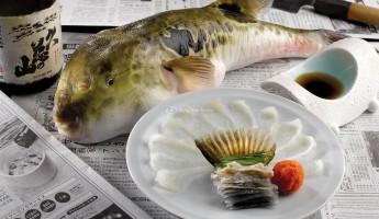 Sashimi Cá Nóc - Món Ăn Độc Đáo Ẩm Thực Nhật Bản