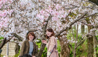 Du lịch Nhật Bản vào mùa xuân nên mặc gì?