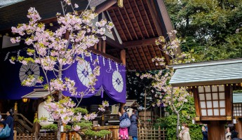 Top 3 Ngôi Đền Cầu Duyên Linh Nghiệm Tại Tokyo