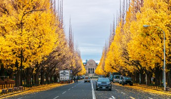 Top 5 Địa Điểm Du Lịch Nhật Bản Đẹp Nhất Vào Mùa Thu