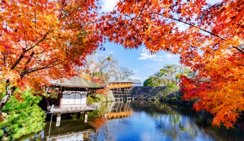 Mùa Thu Nhật Bản Tại Đảo Miyajima Có Gì Đặc Biệt?
