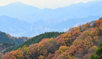 Khám Phá Núi Takao - Ngọn Núi Được Nhiều Người Leo Nhất Thế Giới