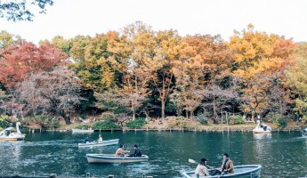 [Hết Dịch Đi Đâu?] Top 10 Địa Điểm Ngắm Lá Đỏ Ở Tokyo