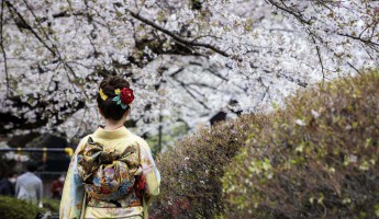 Top 5 Trải Nghiệm Không Thể Bỏ Qua Khi Du Lịch Tokyo Mùa Xuân Này