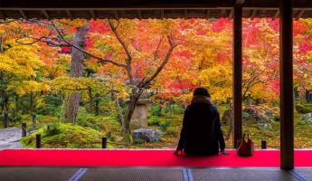 3 nơi tuyệt vời cho mùa thu Kansai