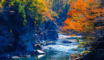 10 địa điểm du lịch mùa thu ở Tokyo