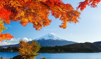 Điểm chiêm ngưỡng mùa thu nước Nhật.