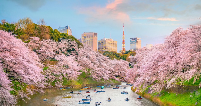 Chidorigafuchi