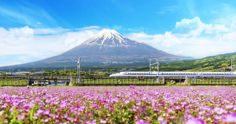 Trải nghiệm Shinkansen