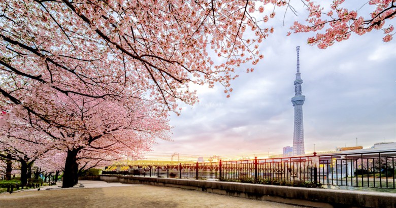 Tháp truyền hình Tokyo Skytree