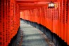 Vì đâu có nghìn cổng Torii tại đền Fushimi Inari?