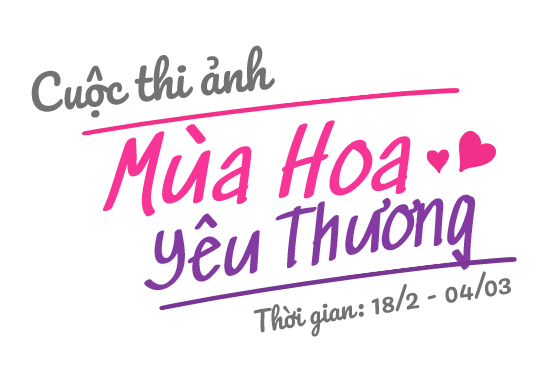 Cuộc thi ảnh mùa hoa yêu thương