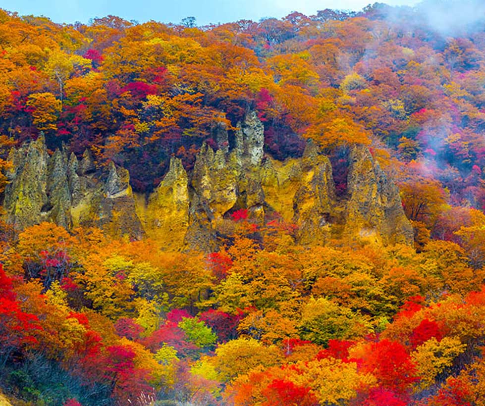 Mùa thu tại Hokkaido