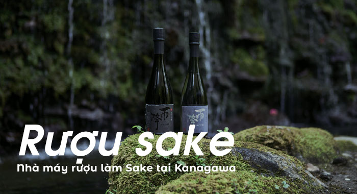 Rượu sake - Nhà máy rượu làm Sake tại Kanagawa