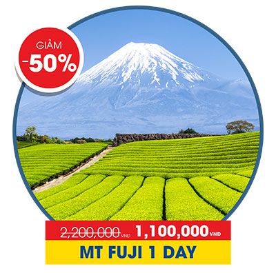 Mt Fuji 1 day