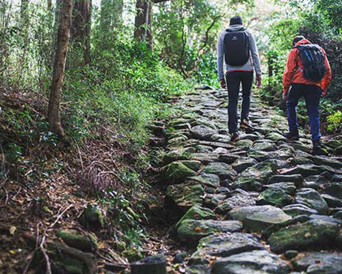 Explore Hakone