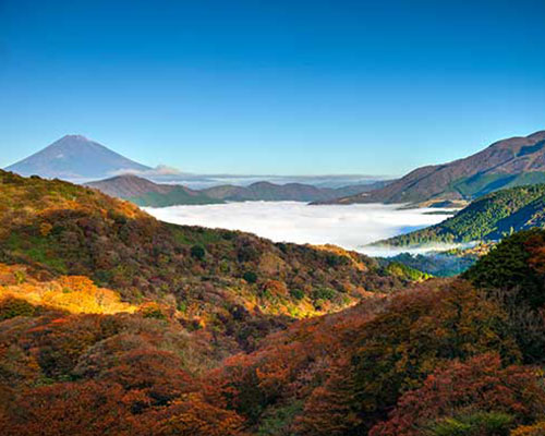 Explore Hakone