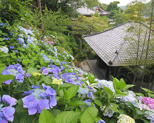 Đền Kaikozan Jishouin Hasedera