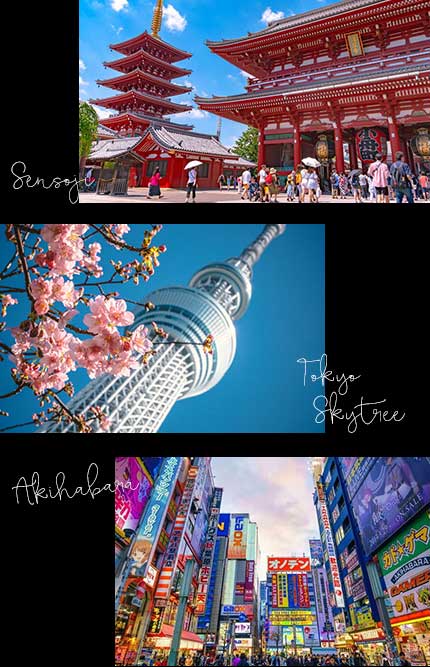 Công viên Showa Kinen - Núi Phú Sĩ