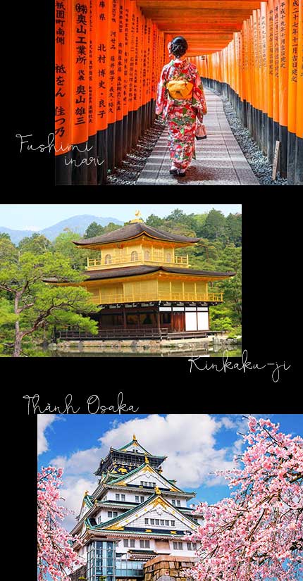 Fushimi Inari - Kinkaku-ji - Osaka-jo