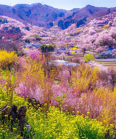 Hình minh họa tại Fukushima