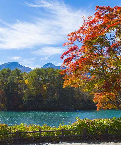 Hình minh họa tại Fukushima