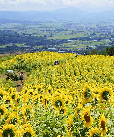 Hình minh họa tại Fukushima