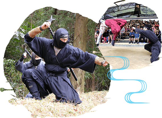 Sự cuốn hút của Ninja